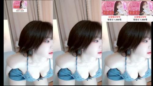 뚱미 (dlatmdaldlr) 터미널 댄스