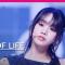 [MPD직캠] 키스오브라이프 나띠 직캠 4K 'Lips Hips Kiss' (KISS OF LIFE NATTY FanCam) | @MCOUNTDOWN_2025.6.12