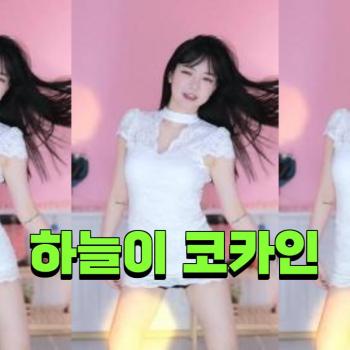 하늘이 ㅓ ㅜ ㅑ 코카인 82148856