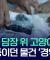 냥이는 무죄다 보석금없이 풀어줘라.