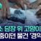 냥이는 무죄다 보석금없이 풀어줘라.
