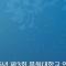 [📅행사] 250402 비비지 - 대전 목원대 축제