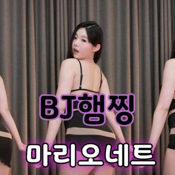 BJ햄찡-마리오네트