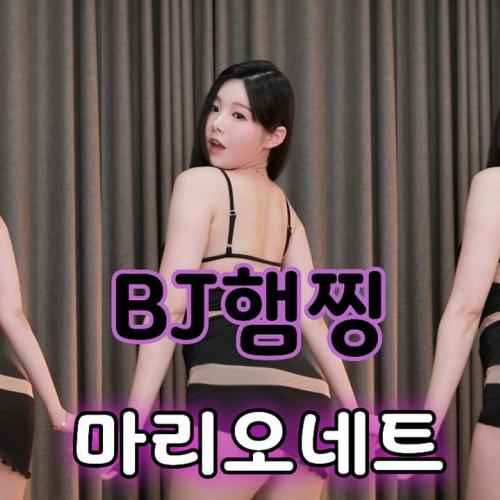 BJ햄찡-마리오네트