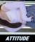 메카 Team Mecca [다은] - ATTITUDE [250405 엔터식스 안양]
