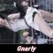 아트비트 ARTBEAT [유화 YuWha] - Gnarly [250511 버스킹 여기서요? 청계광장]