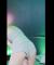[정선컴퍼니] 로침마당! 뉴시그 > 1022 리릭이스 1029 기분
