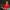남자에 미친 4세대 민심이 하나 둘 나락을 가는구나