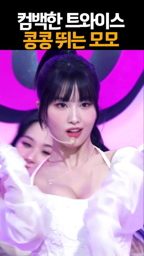 콩콩뛰는 모모