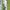 izna (이즈나) 정세비 #IZNA [4K 세로직캠] | 2025 KBO리그 KIA VS NC 경기 250323