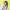 230329 [DELIGHT] 쇼케이스 첫사랑 금희 '열여덟 (Signal)' 직캠 (CSR GEUMHEE)